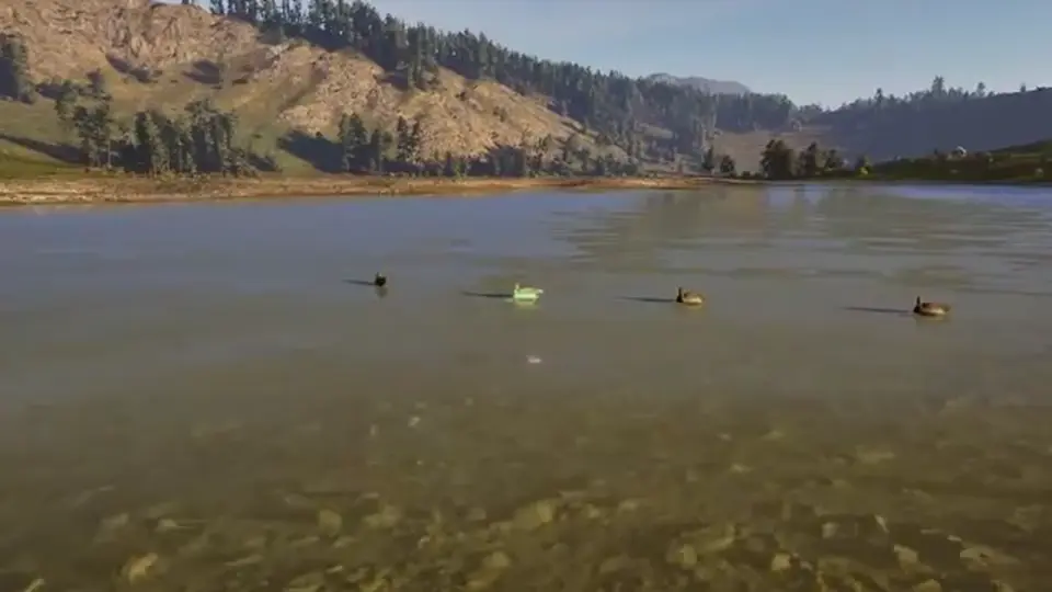 Blind, decoy, and call kit for a Way of the Hunter 2 sit