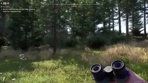 Stalking into an elk sit in Way of the Hunter 2