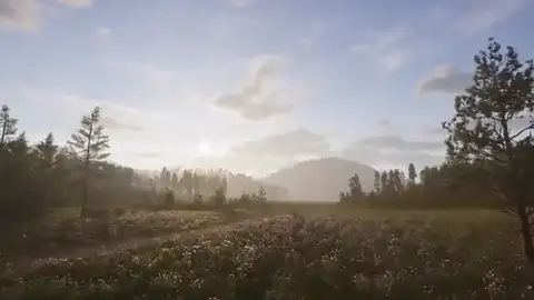 Dense timber tracking in Way of the Hunter 2