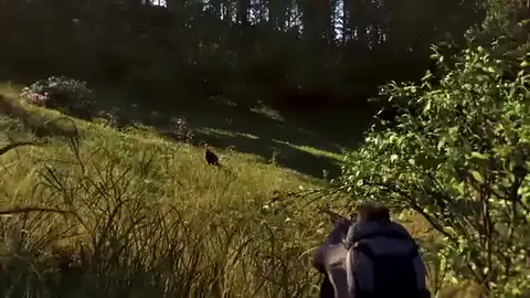 Moving through a Way of the Hunter 2 hunting reserve