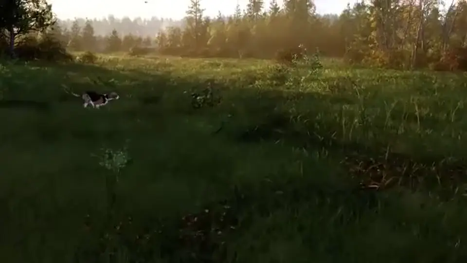 Camp and hunter setup on a Way of the Hunter 2 reserve