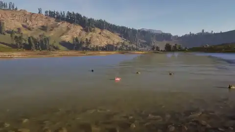 Blinds, decoys, and calls kit in Way of the Hunter 2